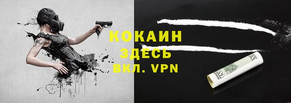 винт Осташков