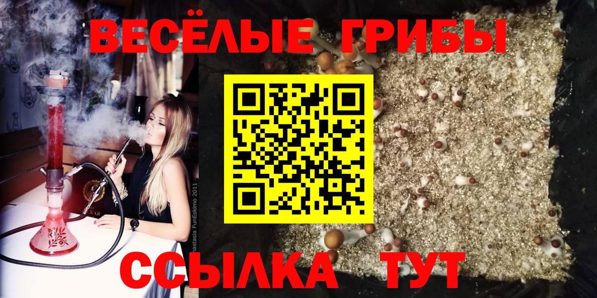 Псилоцибиновые грибы Magic Shrooms  Вход с VPN  Батайск 